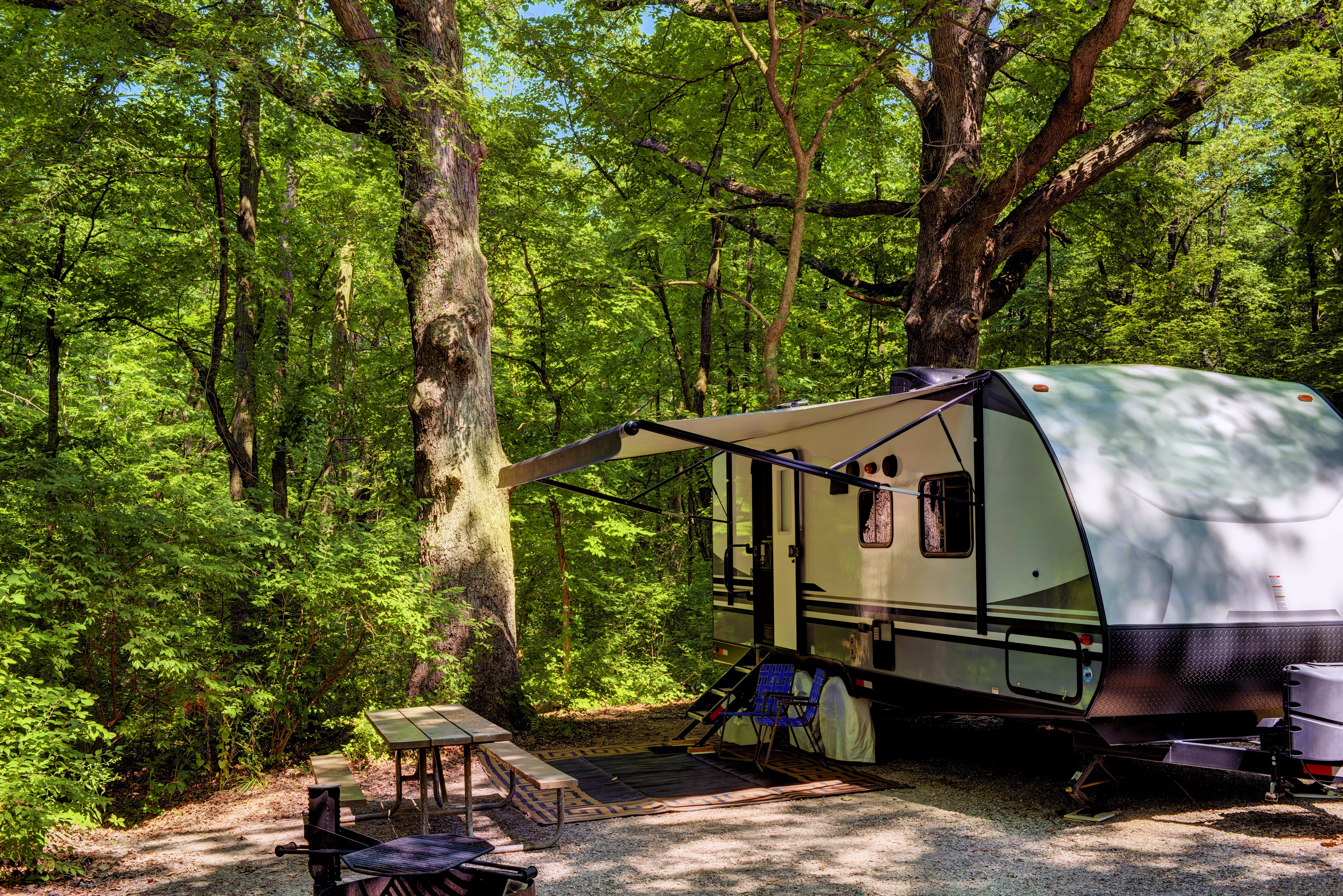 Travel trailer nestled in wooded campsite